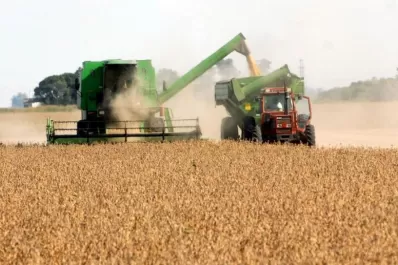 Las ventas de granos en el segundo trimestre triplican a las de 2018