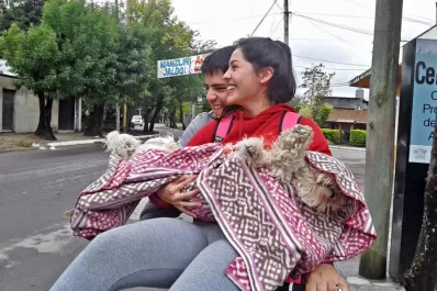 Beneficios de castrar a tu mascota