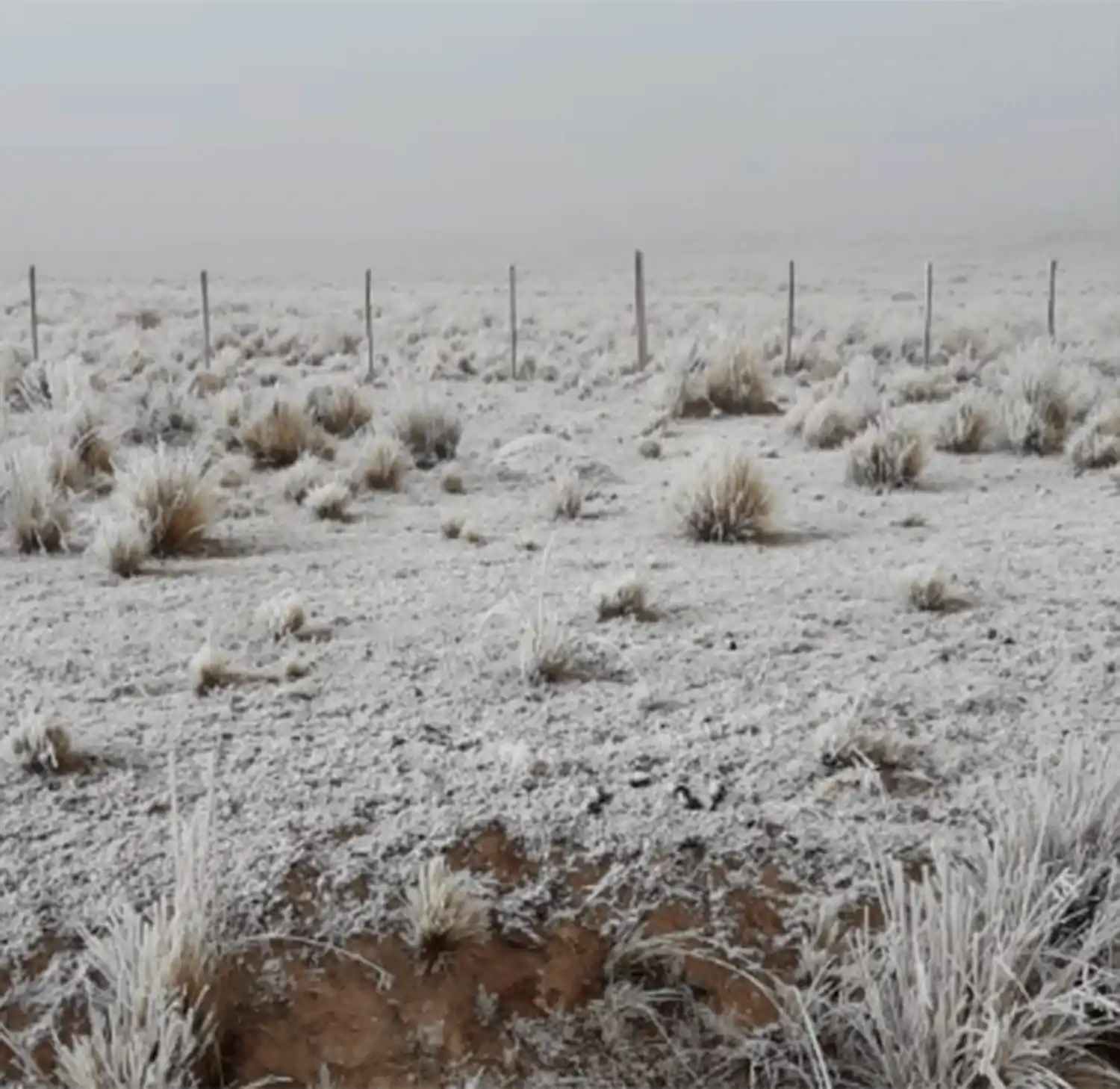 Mirá cómo amaneció Tafi del Valle