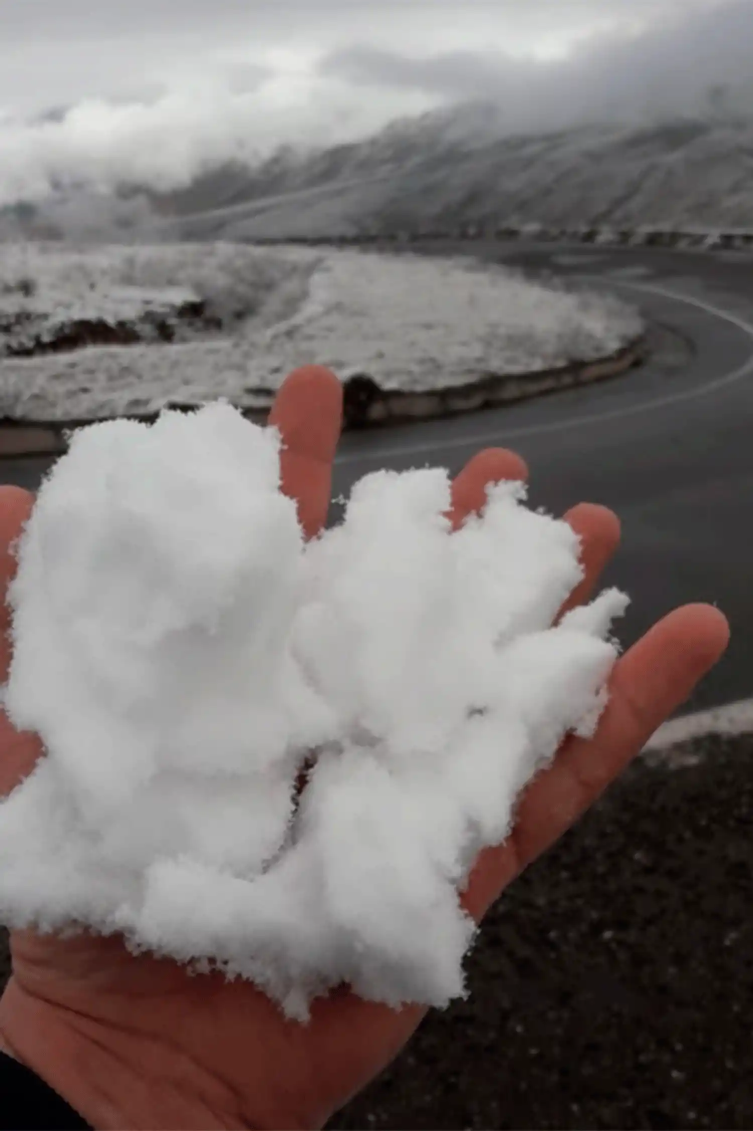 Mirá cómo amaneció Tafi del Valle