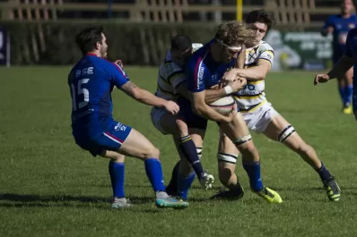 Leones en estado salvaje