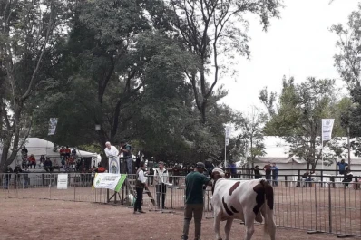 Expo Láctea 2019: eligen los mejores quesos, quesillos y dulces de leche