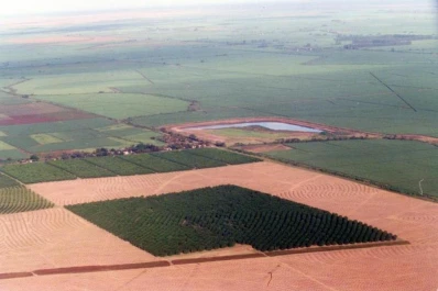 La decisión agrícola se apoya en las estadísticas