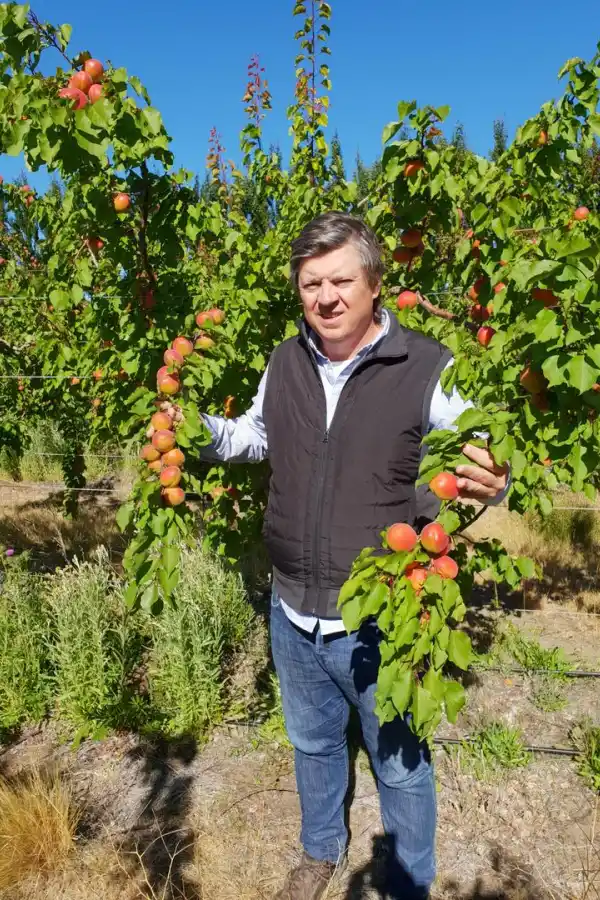 ADOLFO STORNI. Produce cerezas en Río Negro y Chubut, y arándanos en Salta y provincias del NEA. 