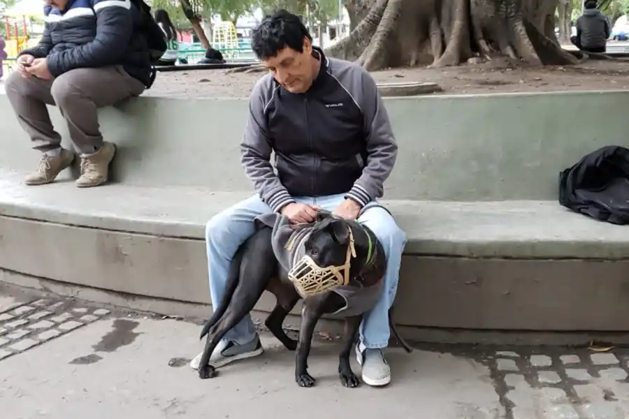 EL NEGRO HOY. Sentado en la plaza Urquiza junto a Carlos, su adiestrador.