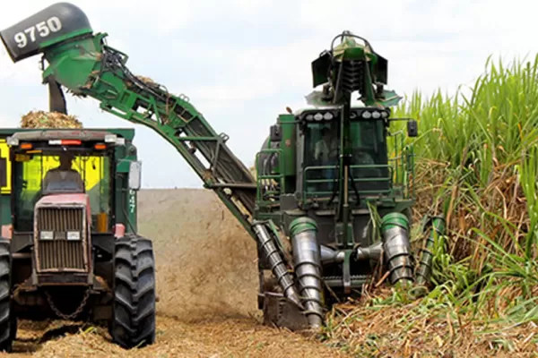 Azucareros del NOA se reunirán este jueves en Jujuy