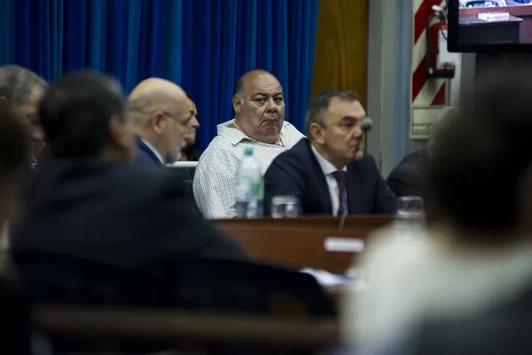 “La Chancha” Ale puede volver a trabajar