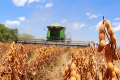 Sólo faltan recolectar 1,57 millón de hectáreas de soja