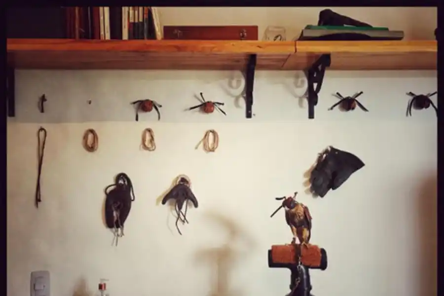 APOYO TÉCNICO. Distintos elementos que el “cetrero” utiliza en su trabajo.