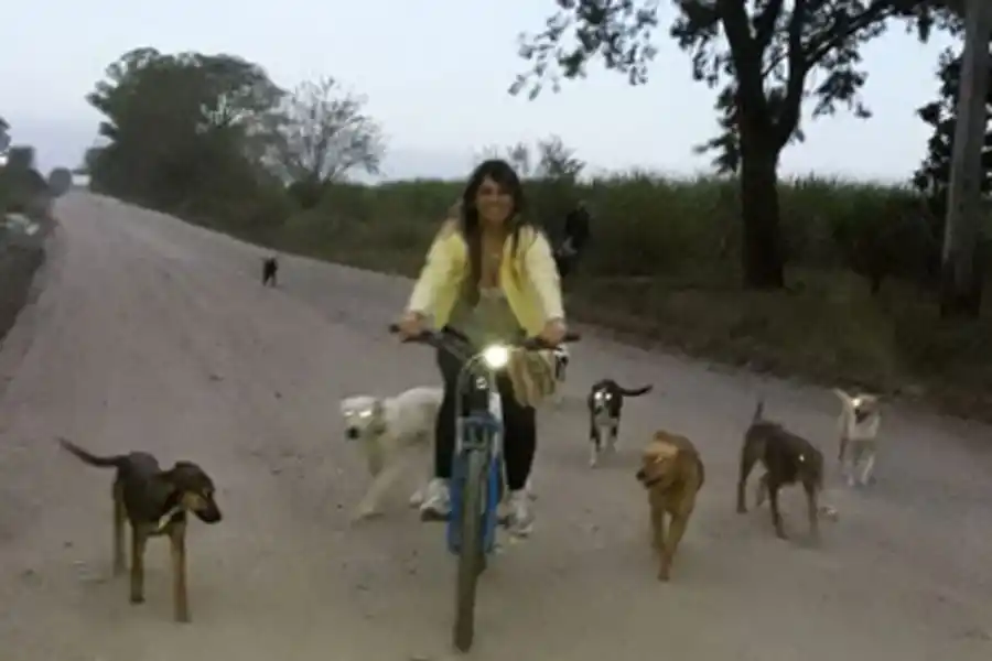 Una candidata a delegada comunal hace su campaña en bicicleta