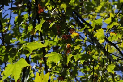 Mucho sol para el inicio de una semana atípica para el otoño tucumano