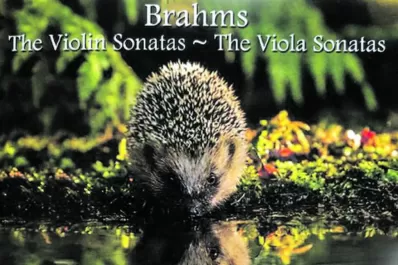 Acariciando el corazón de Johannes