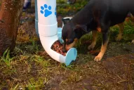 Instalan paradas animales para alimentar a los perros callejeros