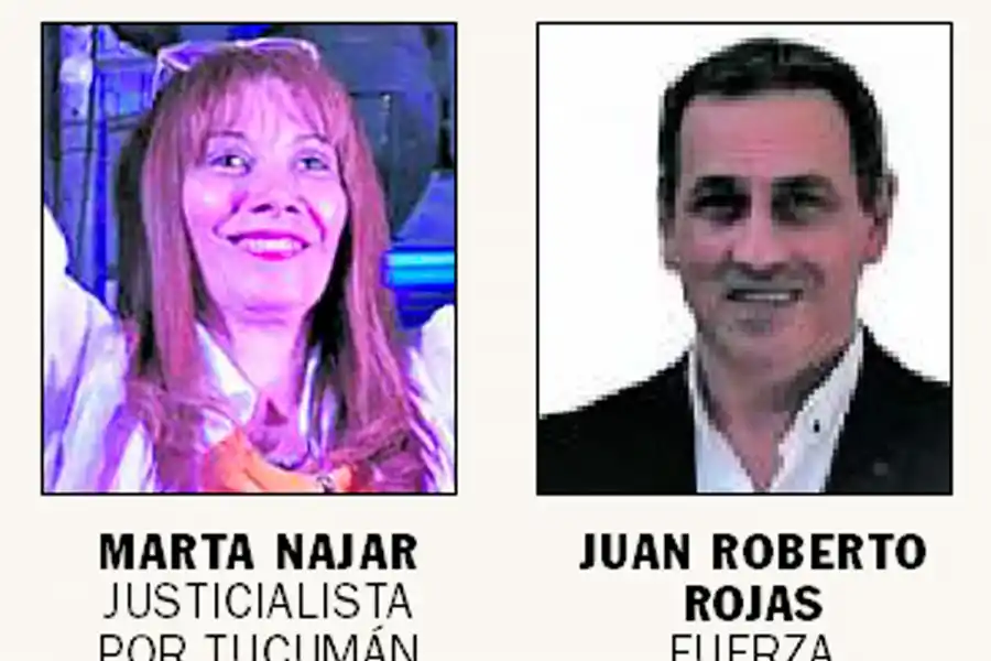 Elecciones: conocé las caras de la nueva Legislatura