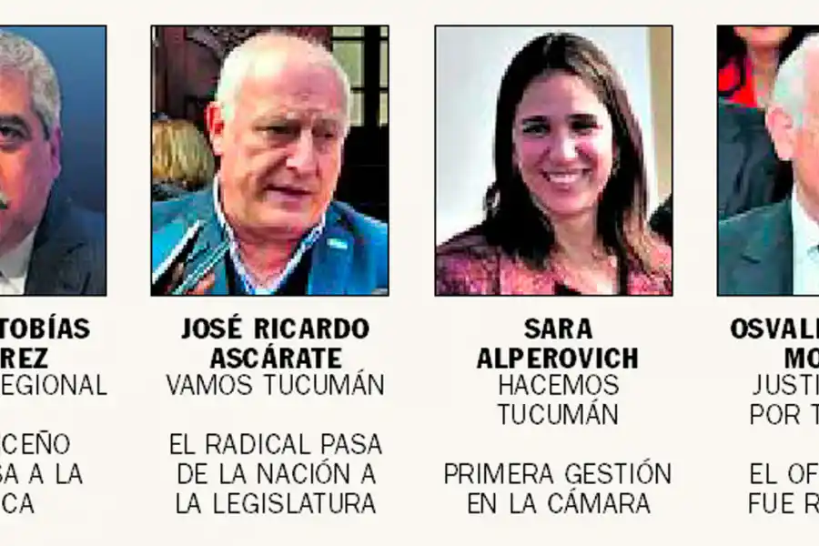 Elecciones: conocé las caras de la nueva Legislatura