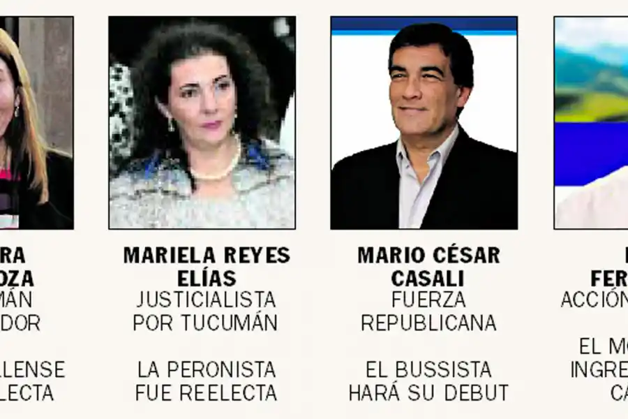 Elecciones: conocé las caras de la nueva Legislatura