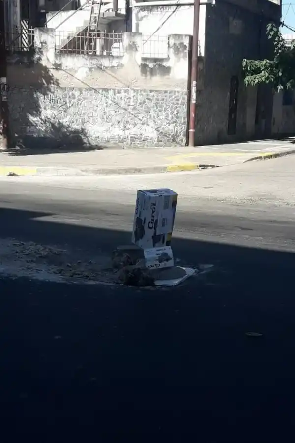  Hace 12 días que falta la tapa cloacal