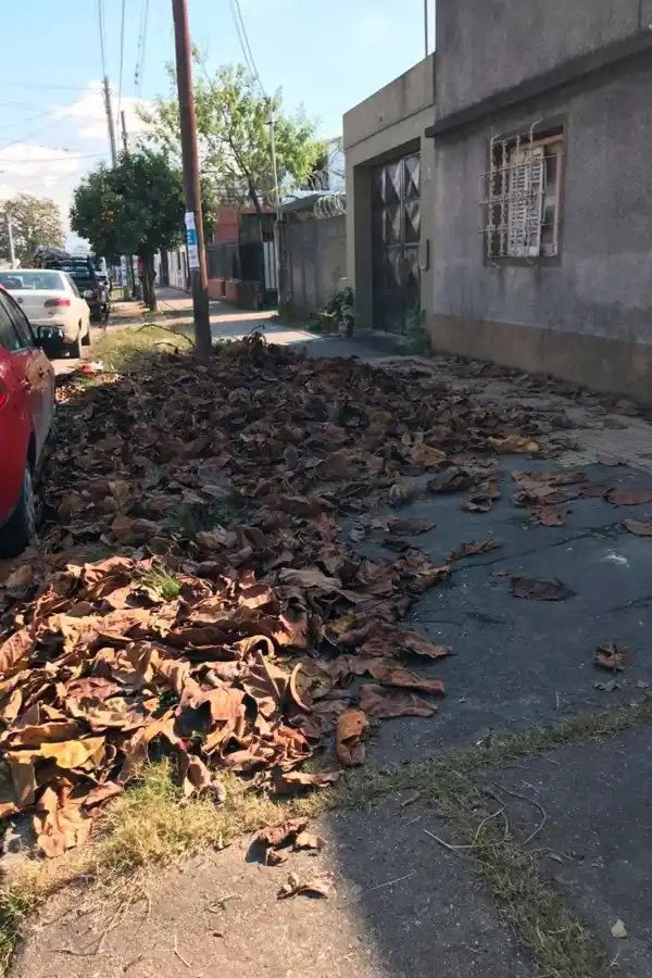 Estacionamiento público en la 25 de Mayo