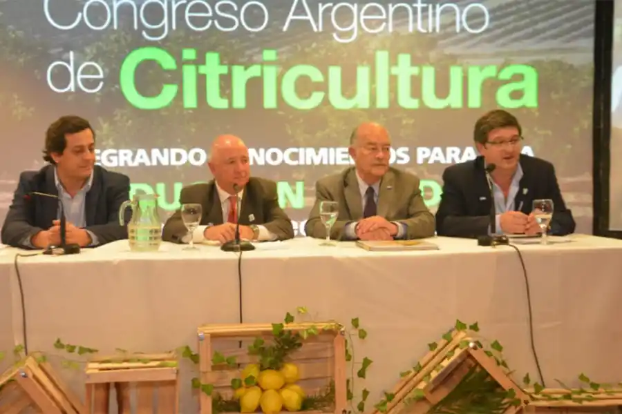 ACTO DE APERTURA. De izquierda a derecha de la imagen, Pablo Padilla (Acnoa), Hernán Salas (presidente del congreso), Juan Luis Fernández (ministro de la Producción), y Guillermo Rossi (Senasa).