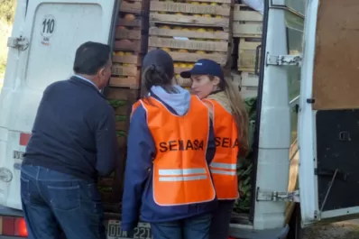 Reforzarán controles en el NOA contra una enfermedad que mata a los cítricos