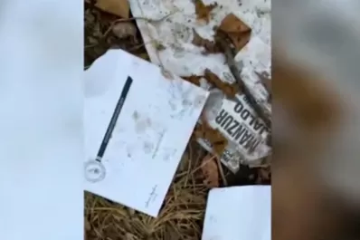 Elecciones 2019: encontraron sobres firmados tirados en un basural de San Pablo