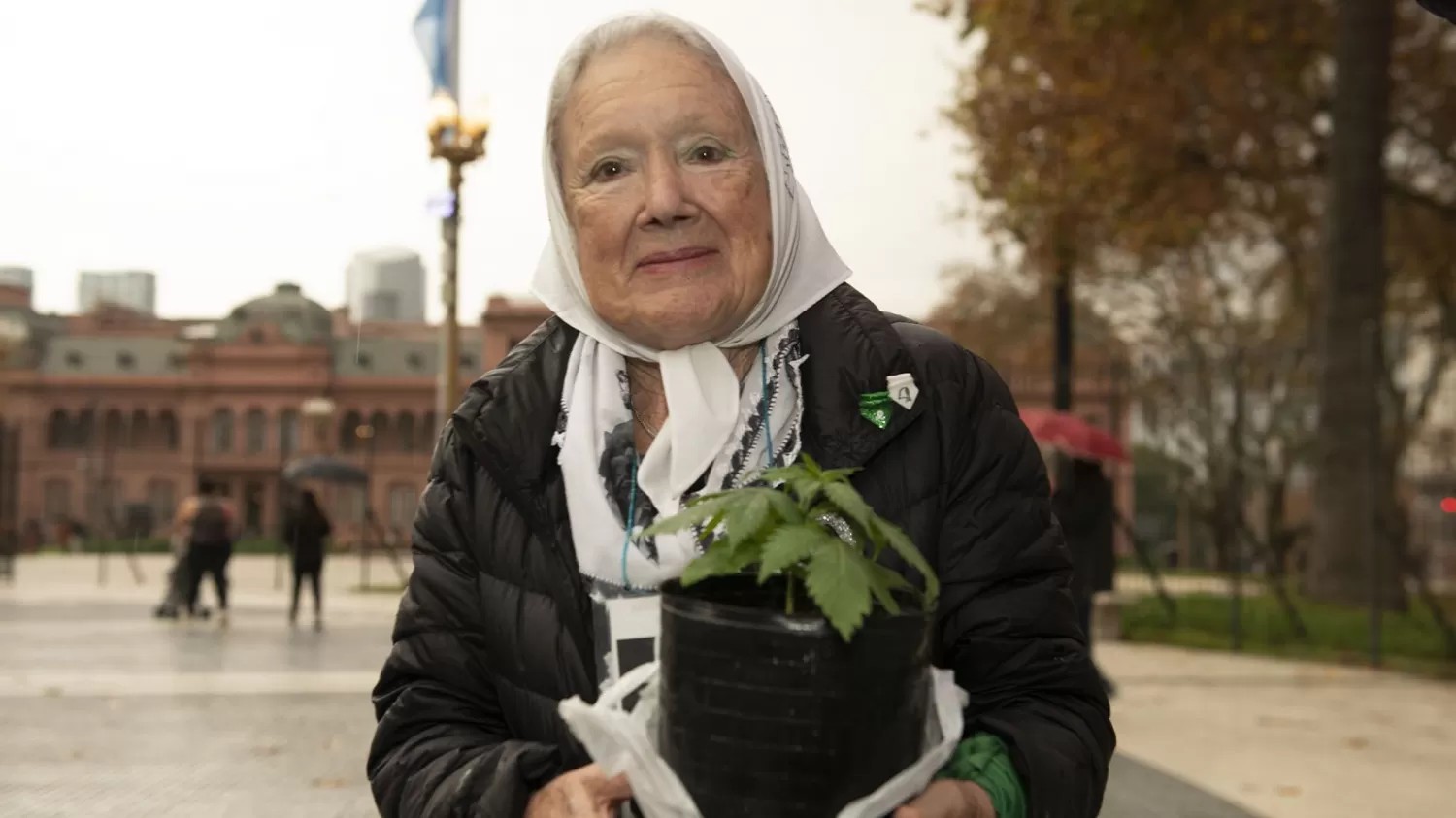 Nora Cortiñas, dentro de Plaza de Mayo con una de sus plantas de cannabis. FOTO DE Gastón Taylor.