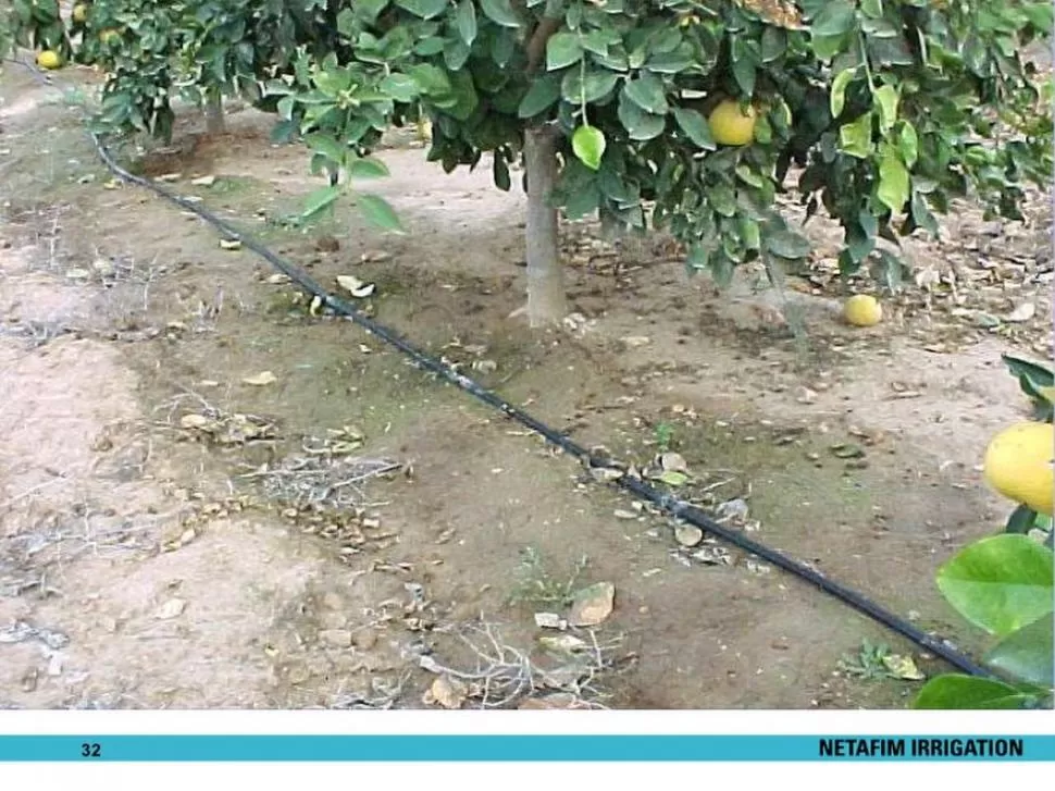 POSITIVO. Las redes de riego logran eficientizar el consumo de agua. 