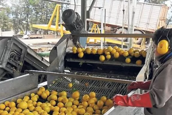 La cosecha y el empaque de limón ingresan a los Convenios de Corresponsabilidad Gremial