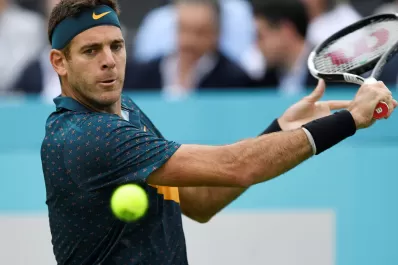 Del Potro le ganó a Shapovalov en Queen's y se retiró del torneo