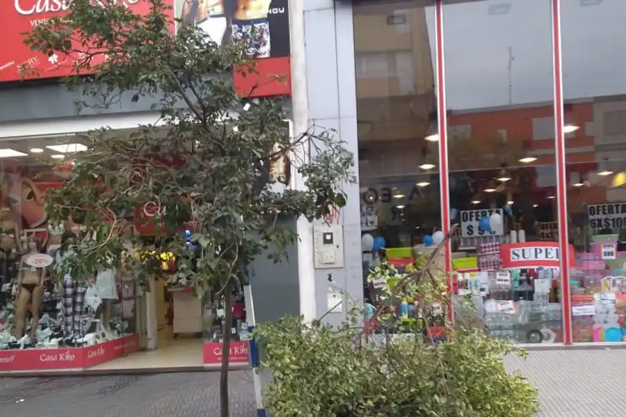 DENUNCIA. Lectores acusaron a obreros municipales de romper los árboles para trabajar.