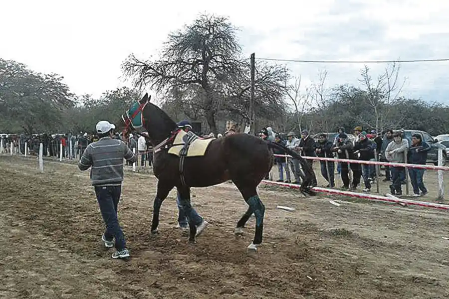 El Hipódromo les abre las puertas a las cuadreras