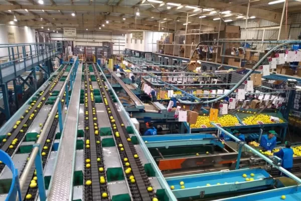 Argenti Lemon buenas prácticas para afianzar la calidad