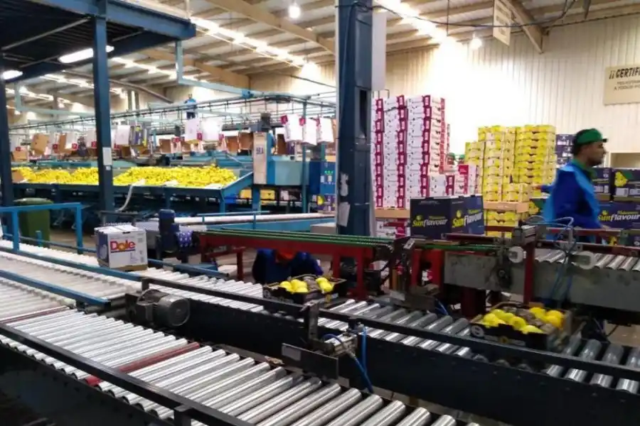 Argenti Lemon buenas prácticas para afianzar la calidad