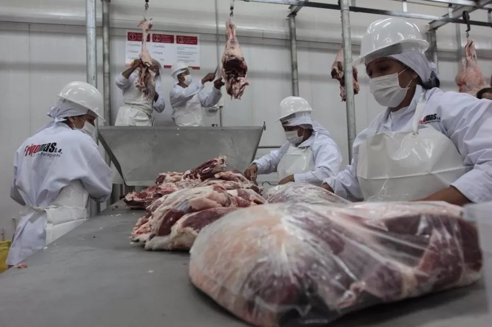 DESEQUILIBRIOS. La carne vacuna argentina sigue siendo resistida por algunos países de la Unión Europea.  