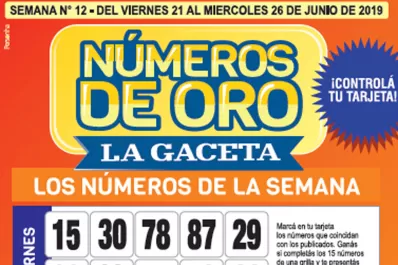 Controlá tu tarjeta: la grilla completa de los Números de Oro