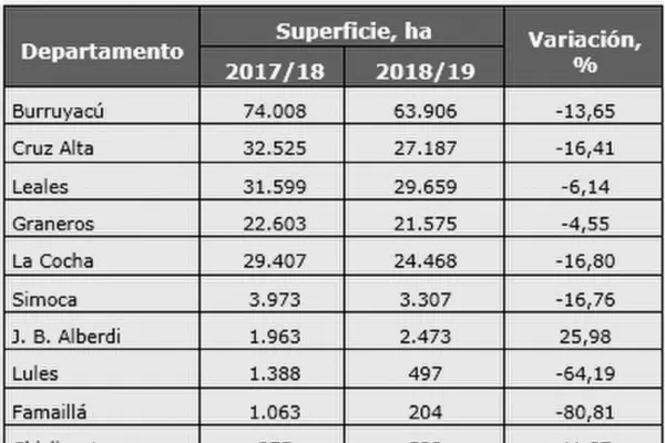 Se redujo un 12% la superficie cultivada con soja en Tucumán