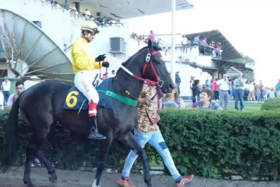 Turf: Trampolín para los clásicos