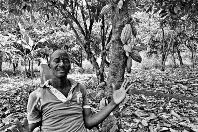 Costa de Marfil y  Ghana procuran salvar  a sus agricultores