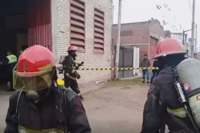 Se incendió una forrajería en Concepción y murieron muchos pollitos