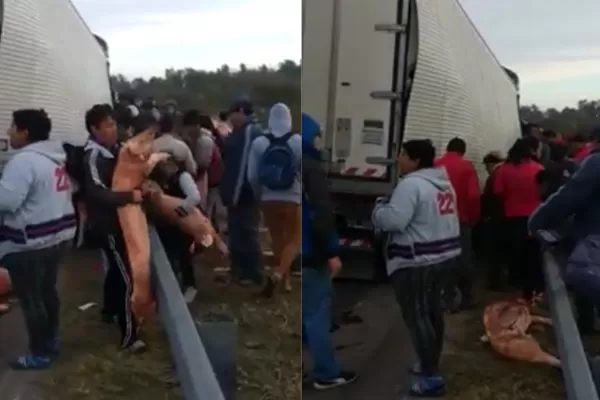 Un camión perdió su carga de cerdos faenados: los vecinos se llevaron todo