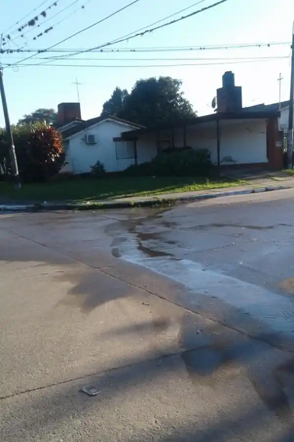 Un descontrol en la peatonal 25 de Mayo