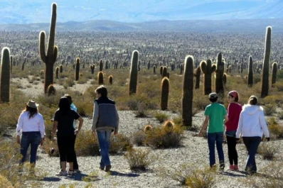 Los parques nacionales ofrecen nieve y alternativas culturales para disfrutar en invierno