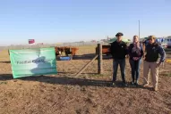 Con un feed lot ecológico producen carne más saludable