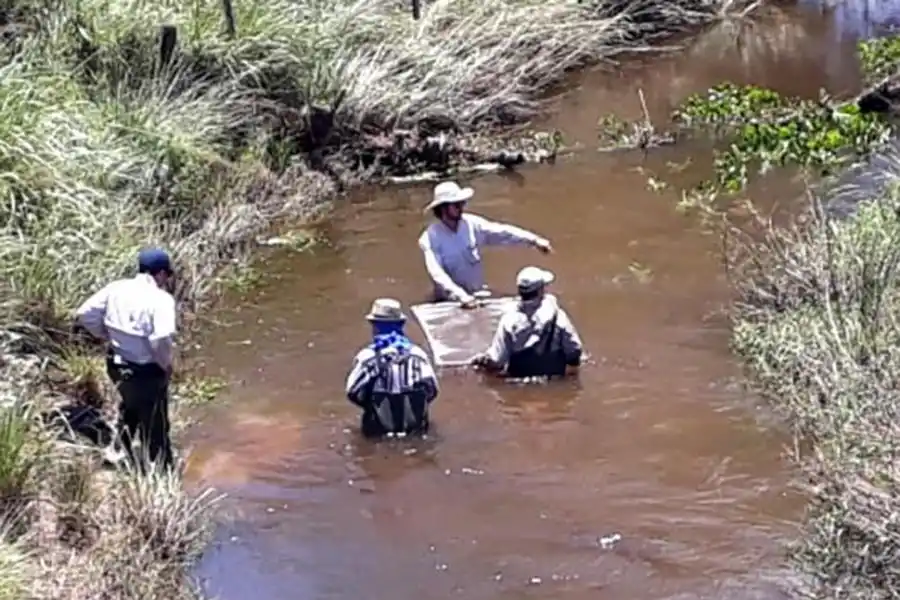 EN EL RÍO. El equipo, dedicado a hacer lo que ama: la búsqueda del saber. 