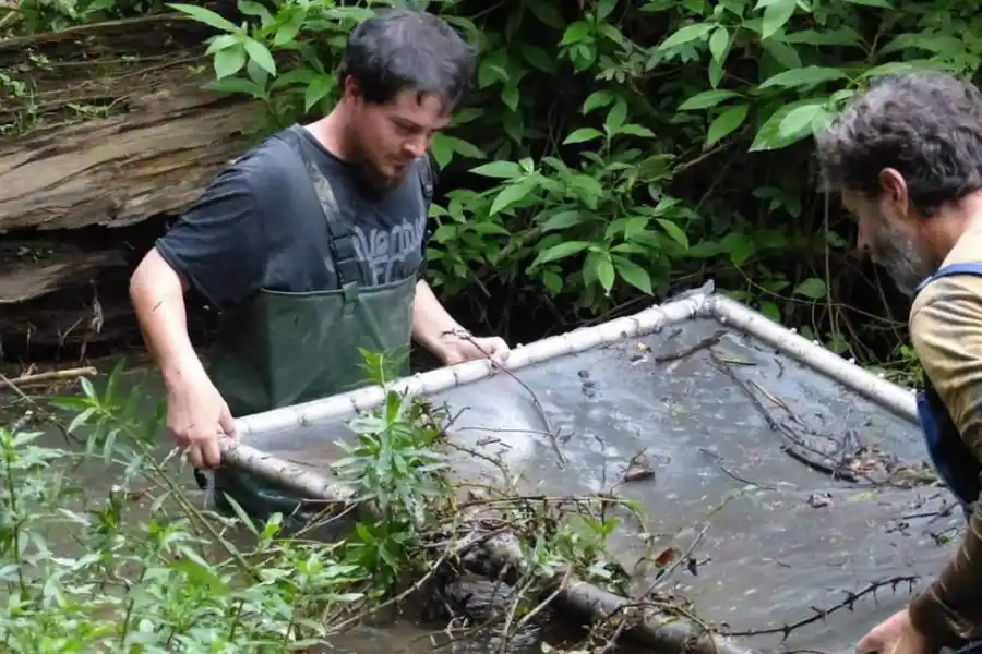BÚSQUEDA DEL TESORO. Ojos atentos a lo que la red entrega.
