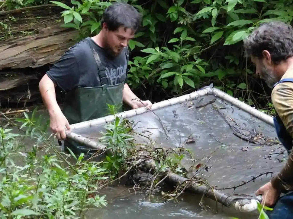 BÚSQUEDA DEL TESORO. Ojos atentos a lo que la red entrega.