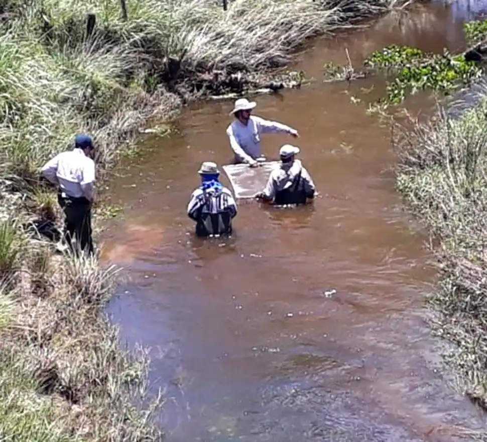EN EL RÍO. El equipo, dedicado a hacer lo que ama: la búsqueda del saber. 