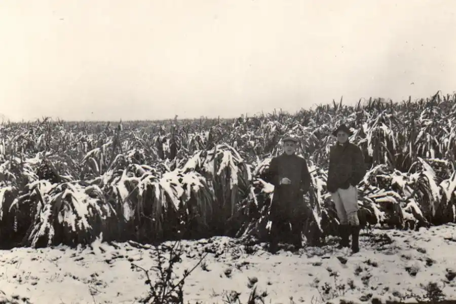 Hace 99 años nevaba por primera vez en Tucumán, y hoy se esperan casi 20°