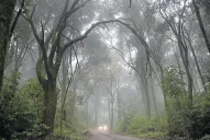 Vecinos de El Corte improvisaron un camino alternativo al puente