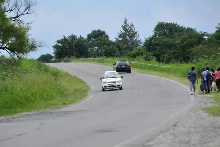 Un policía chocó un caballo suelto y murió